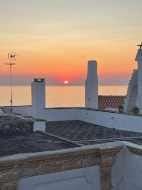 Bonavoglia 900 Gallipoli